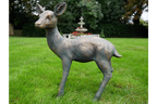 Small Deer