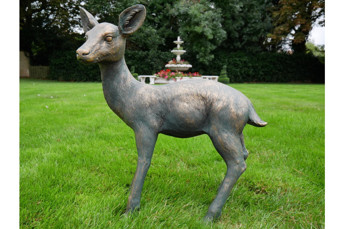 Small Deer