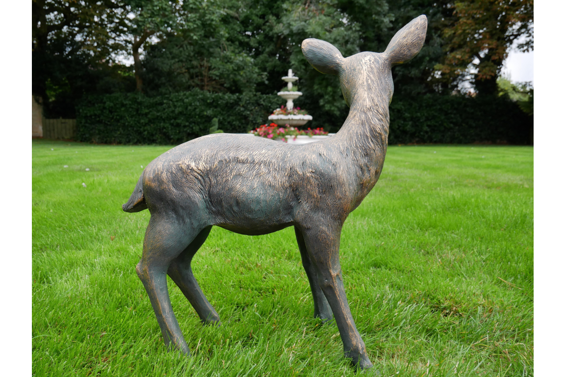 Small Deer