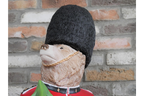 Royal Guard Bear