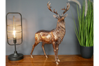 Stag