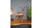 Stag