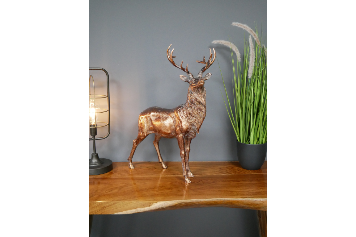 Stag