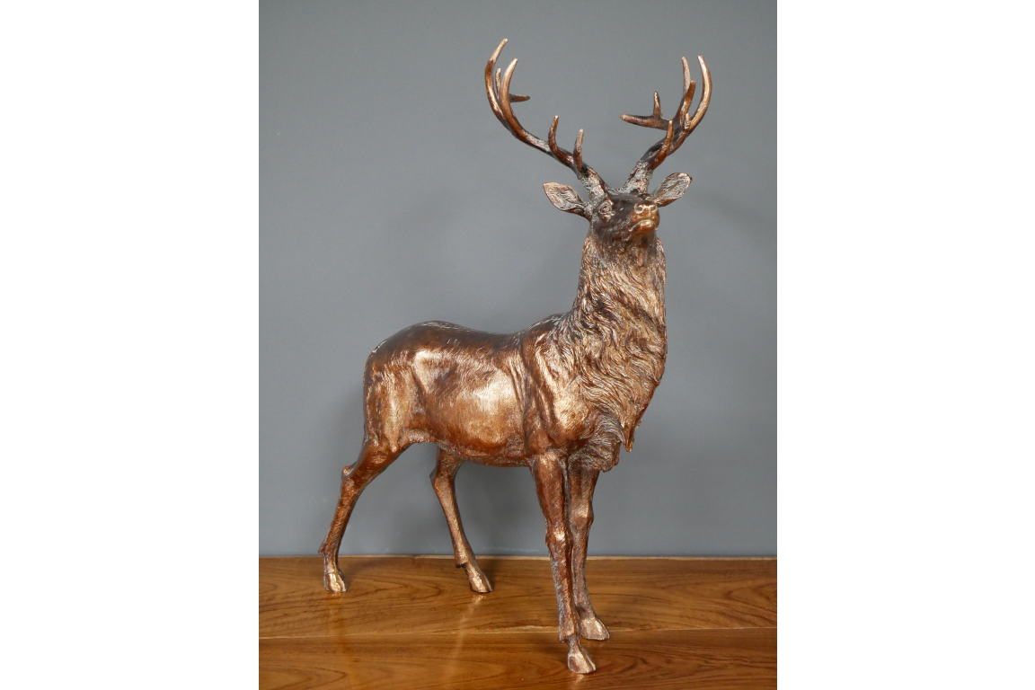 Stag