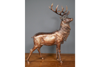 Stag