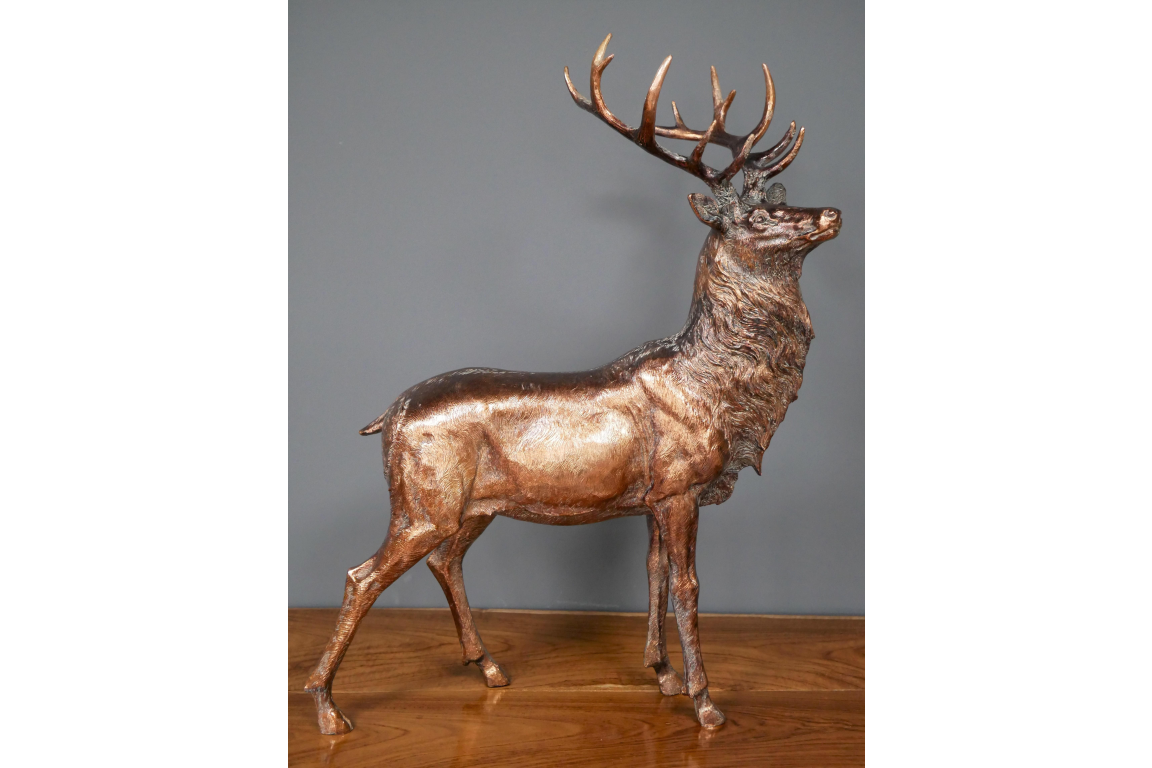Stag