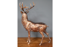 Stag