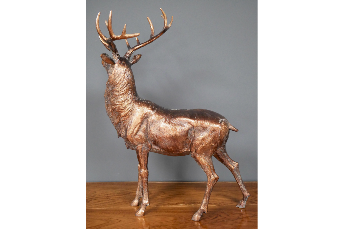 Stag