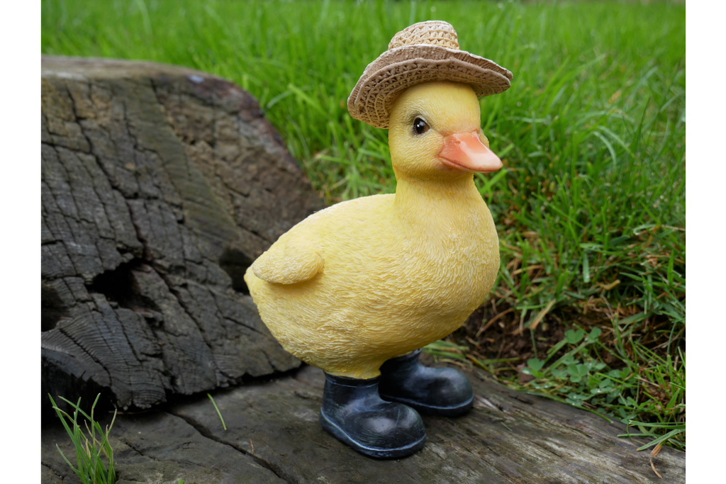 Chick