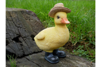 Chick