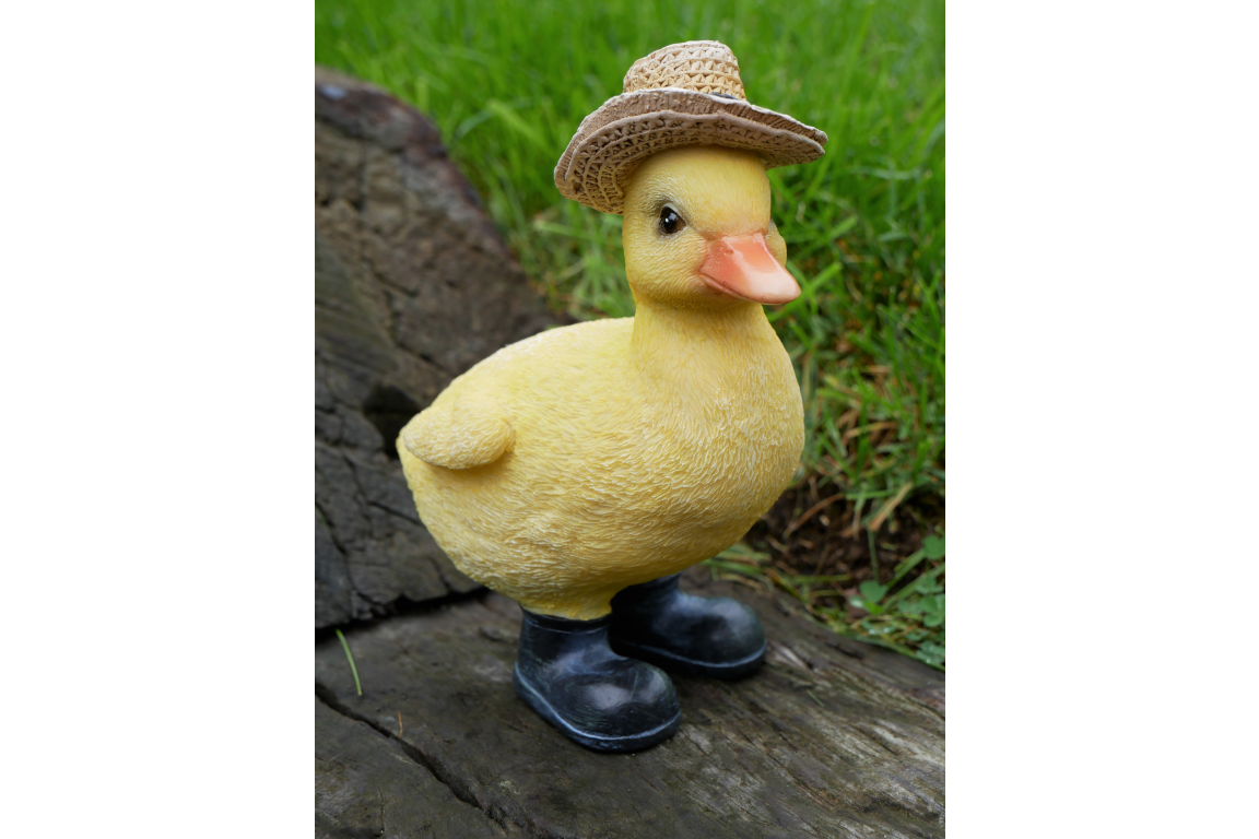 Chick