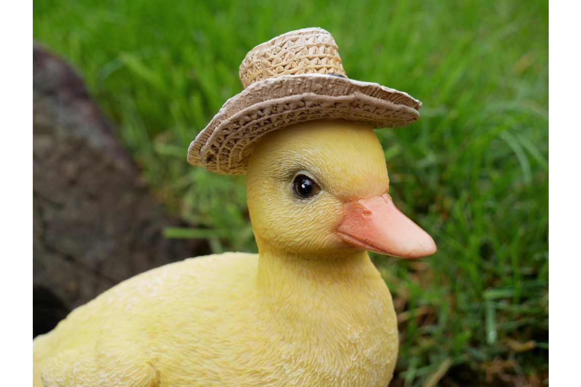 Chick