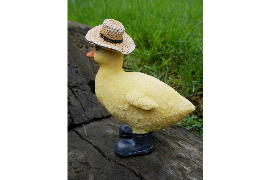 Chick