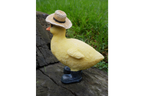 Chick