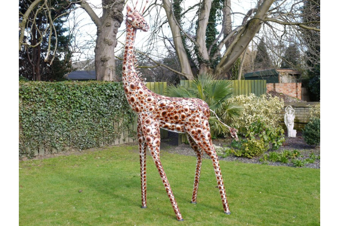 Medium Giraffe