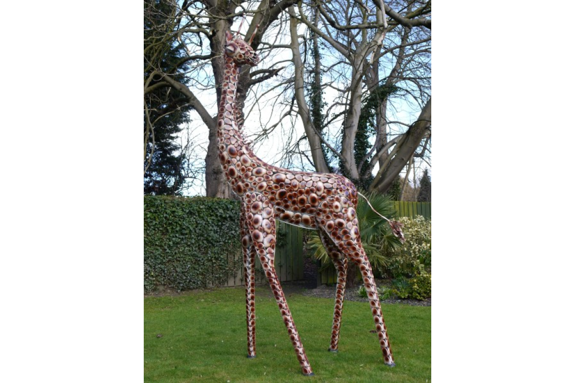 Medium Giraffe
