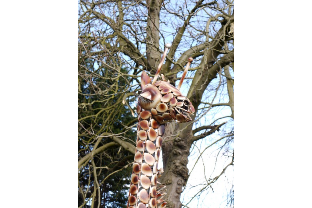 Medium Giraffe