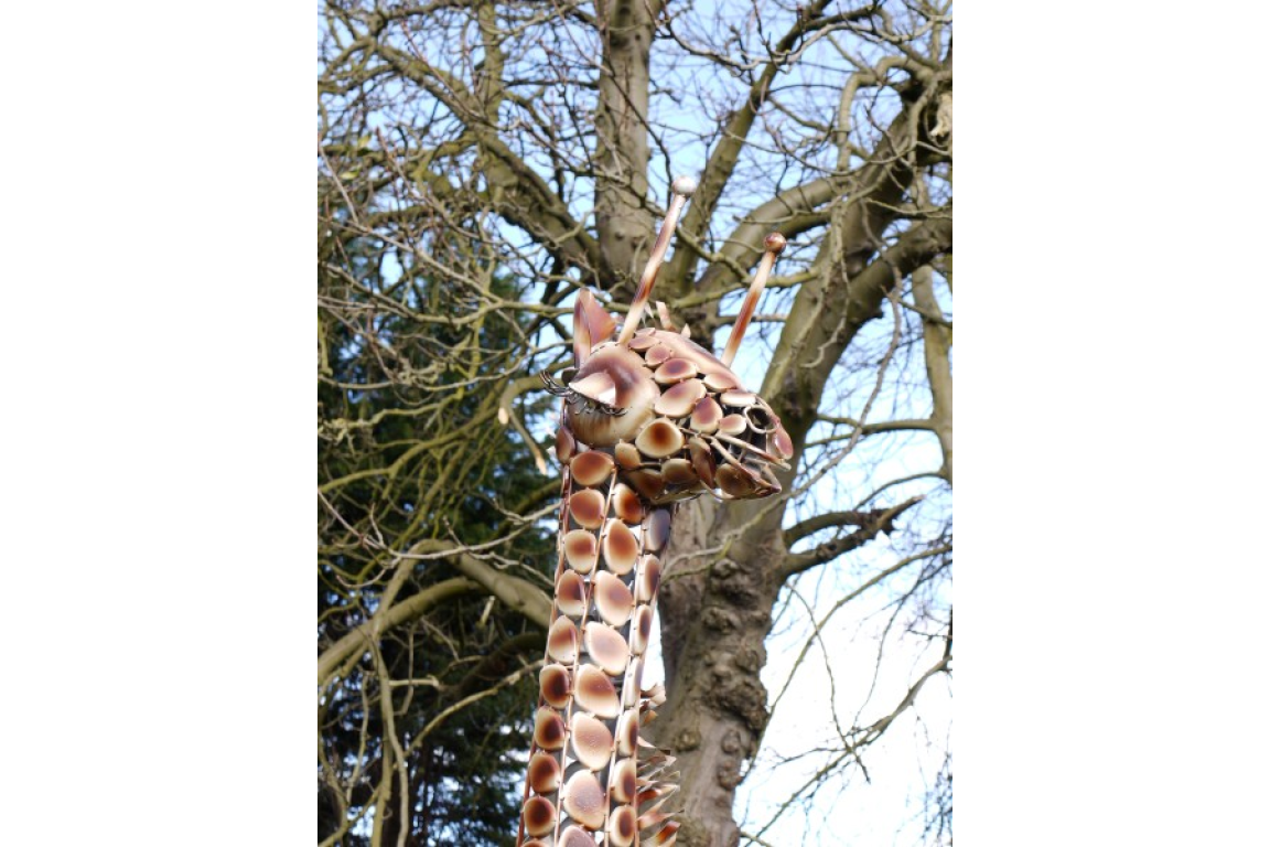 Medium Giraffe
