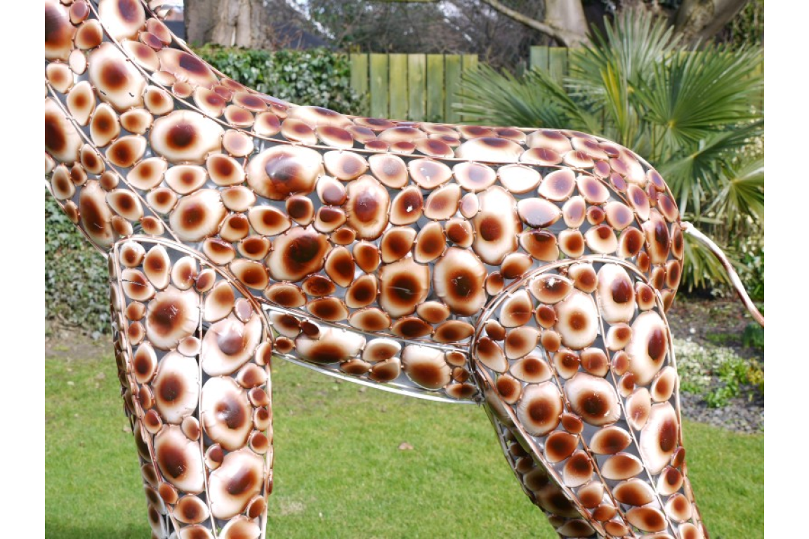 Medium Giraffe
