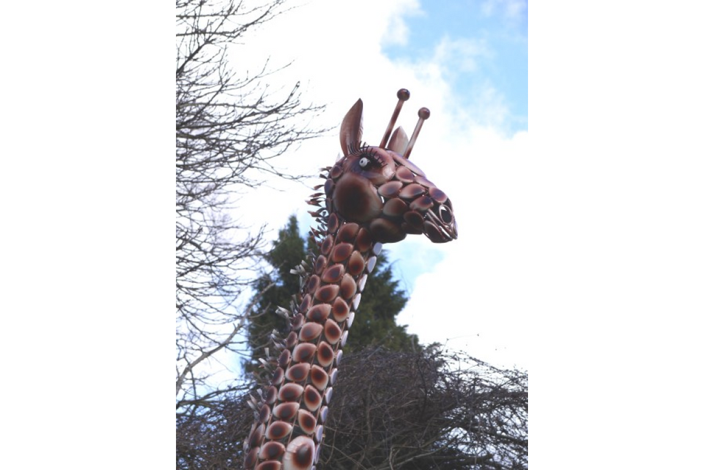 Large Giraffe