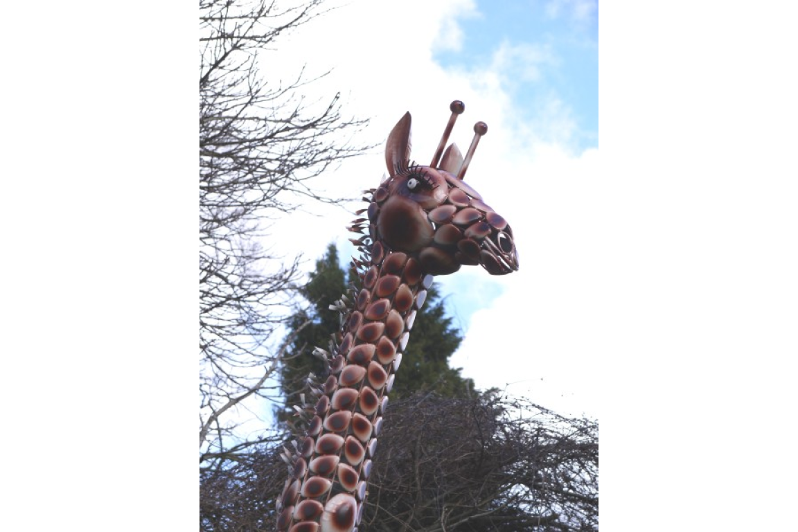 Large Giraffe
