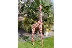 Small Giraffe