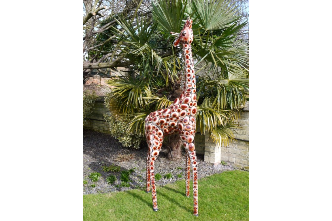 Small Giraffe
