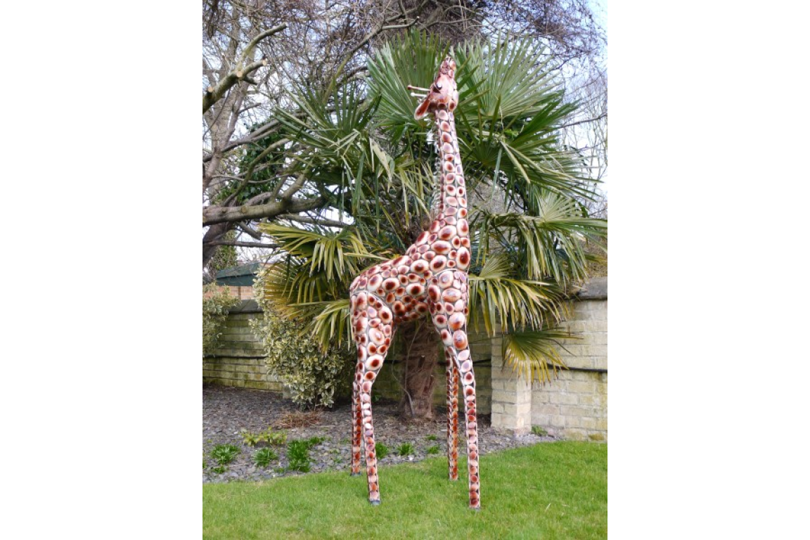 Small Giraffe