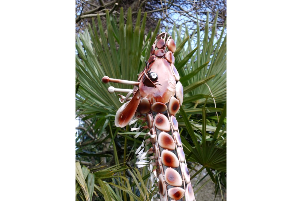 Small Giraffe