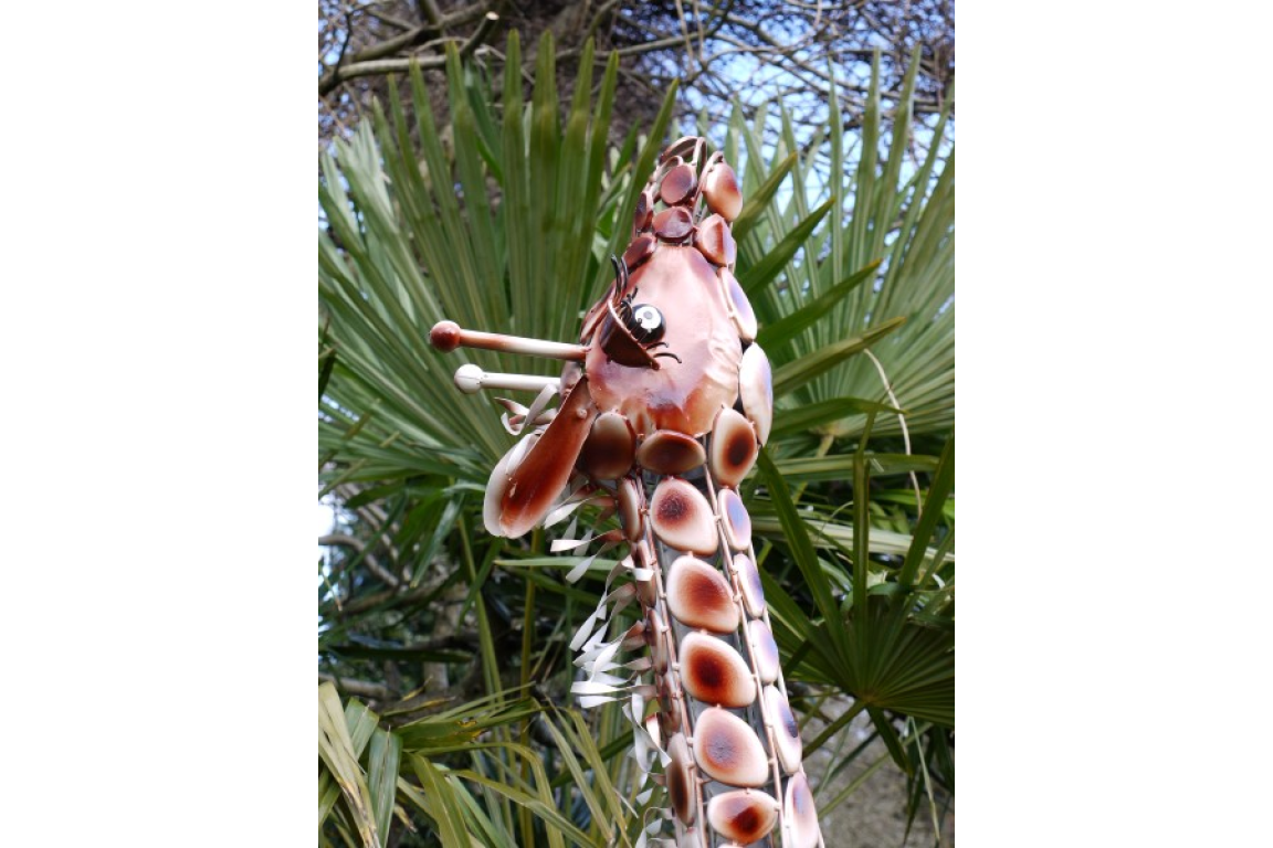 Small Giraffe