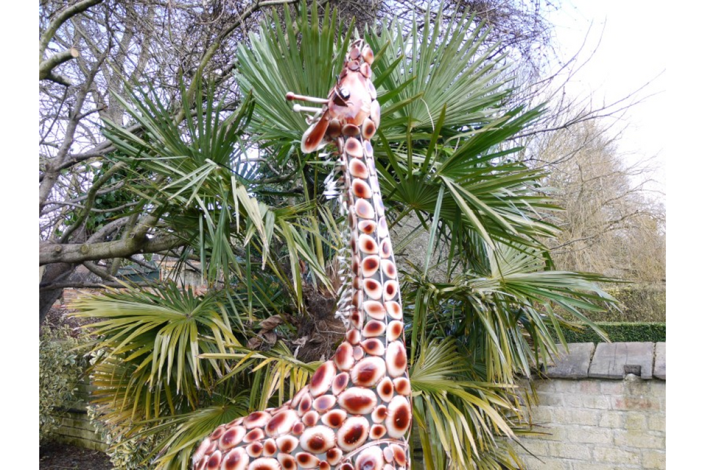 Small Giraffe