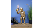 Scuba Monkey