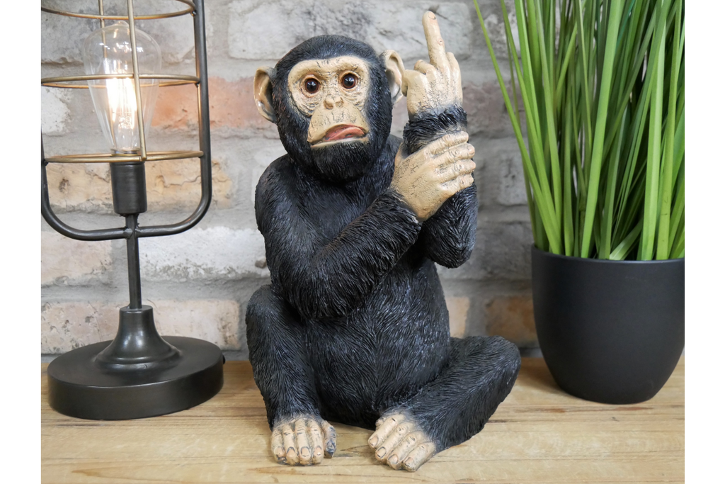 Up Yours Monkey