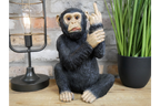 Up Yours Monkey