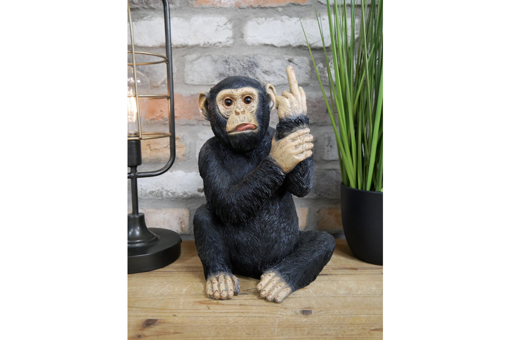 Up Yours Monkey