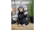 Up Yours Monkey