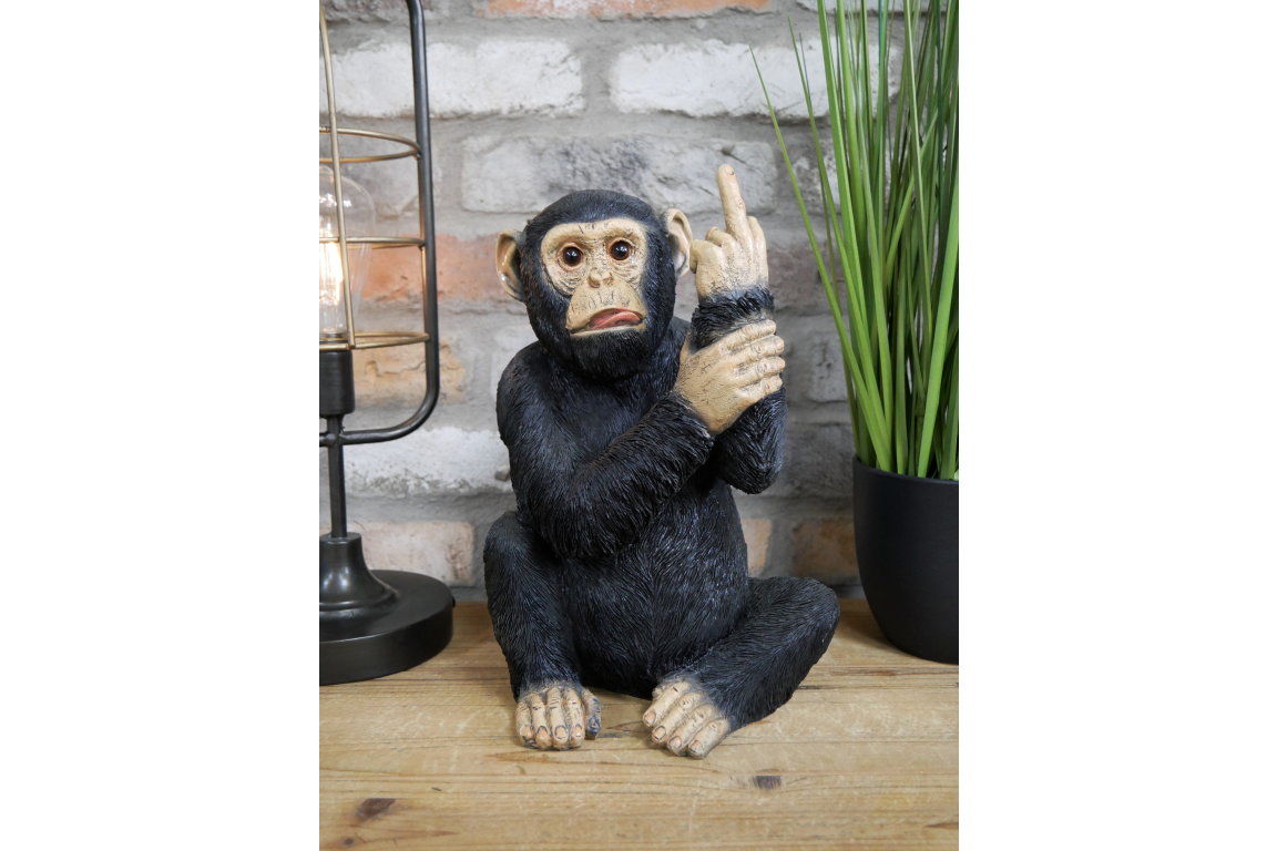 Up Yours Monkey