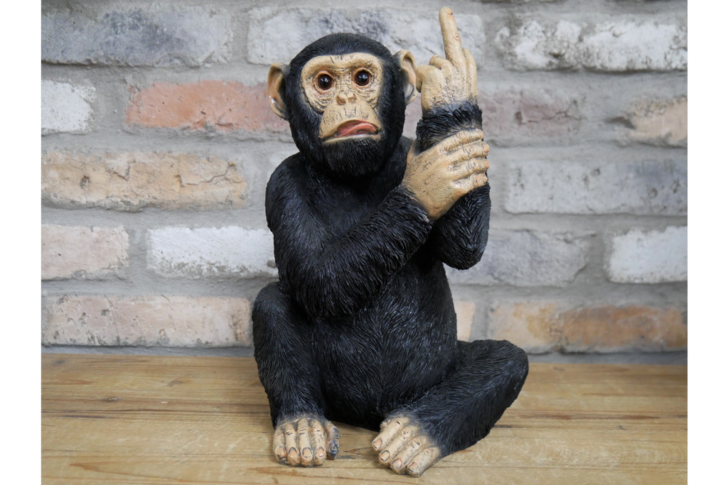 Up Yours Monkey