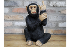 Up Yours Monkey