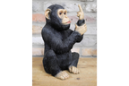 Up Yours Monkey