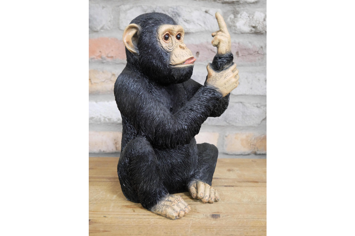 Up Yours Monkey