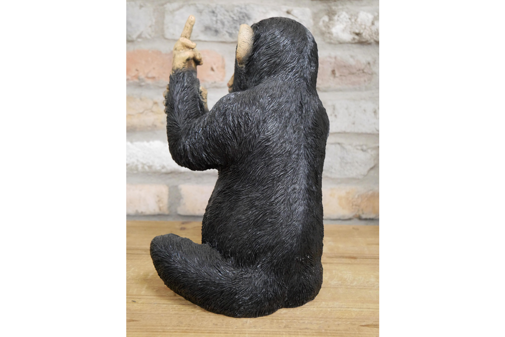 Up Yours Monkey
