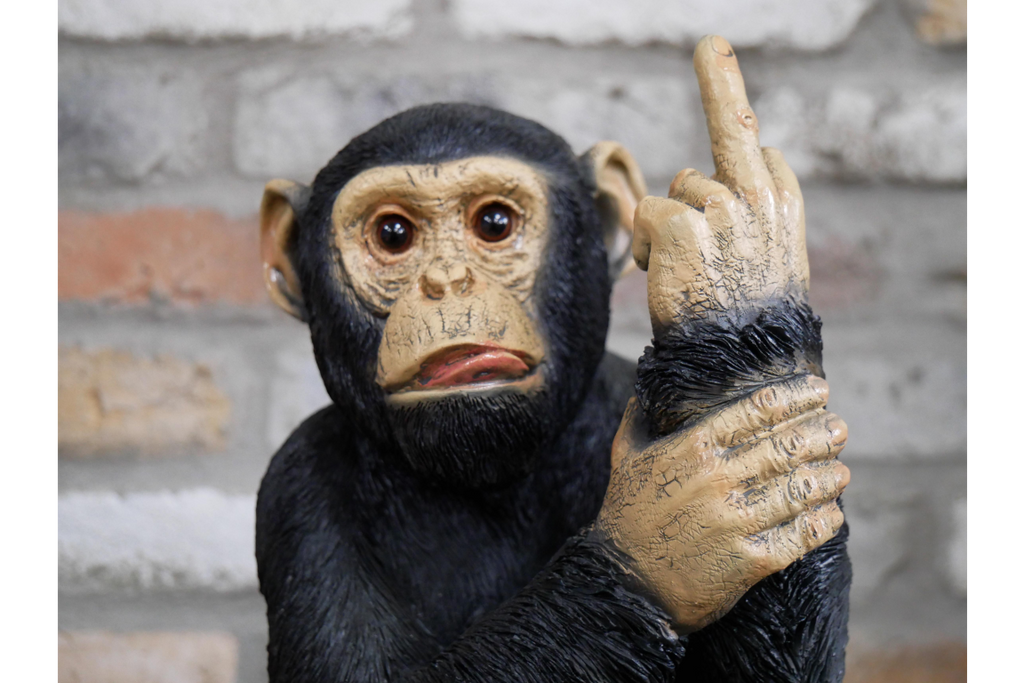 Up Yours Monkey