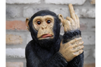 Up Yours Monkey