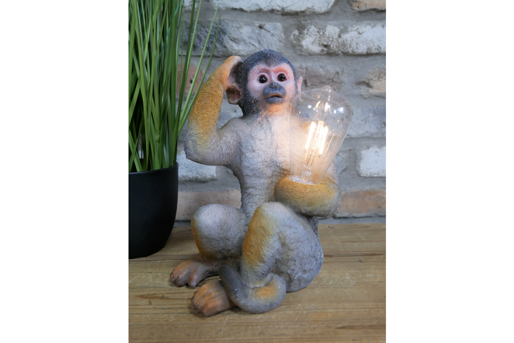 Monkey Light