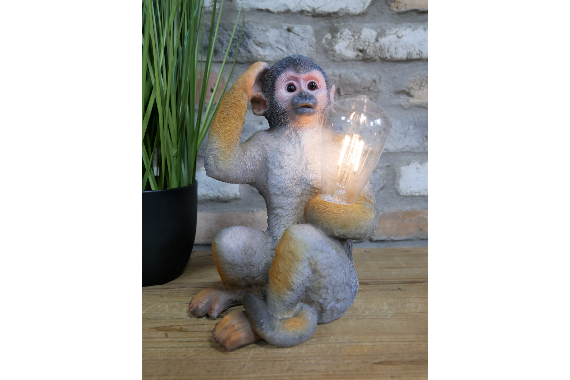 Monkey Light