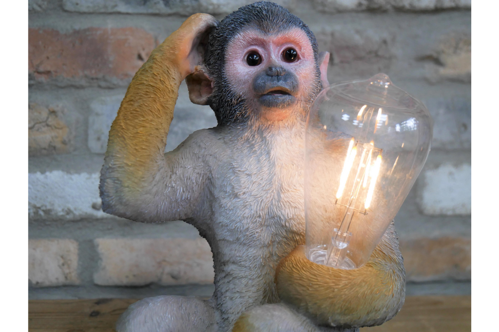Monkey Light