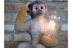 Monkey Light