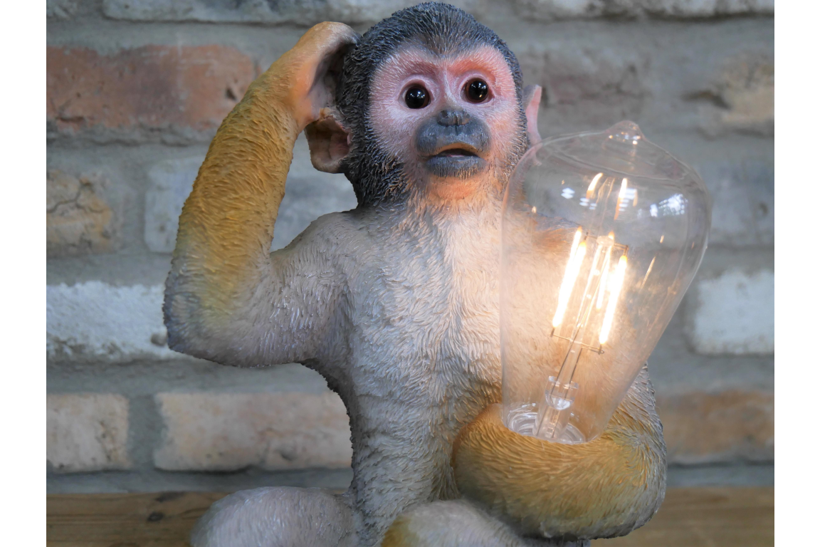 Monkey Light