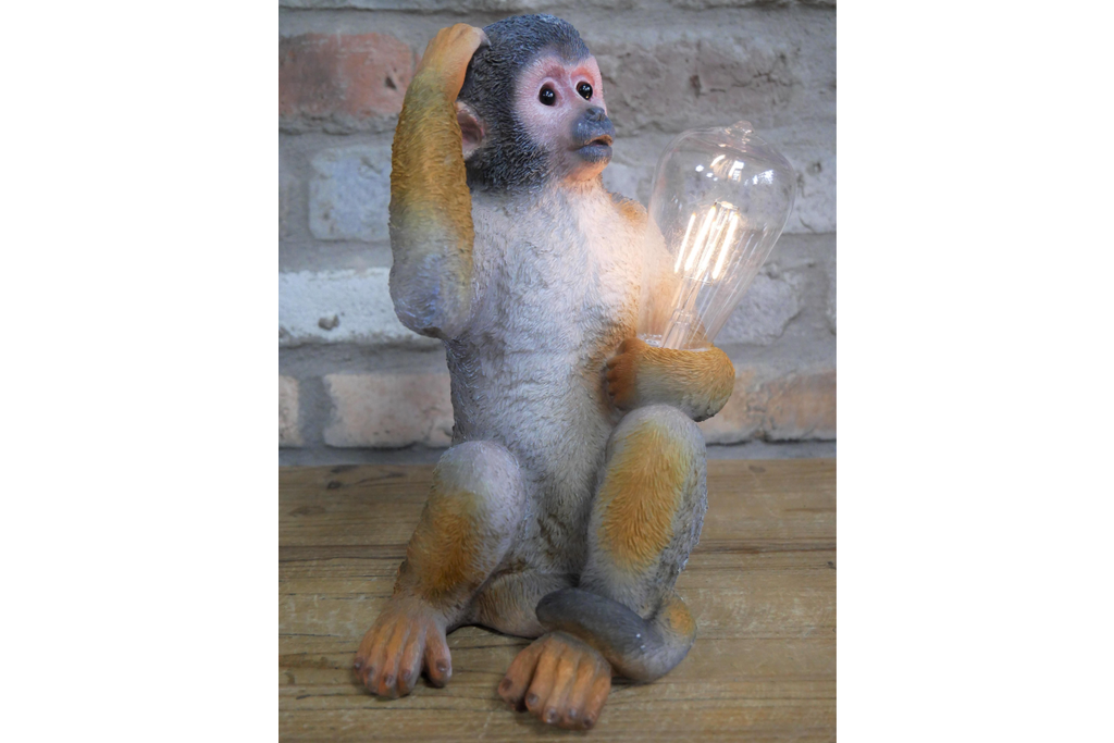 Monkey Light